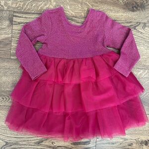 Hanna Andersson Pink Shimmer Long Sleeve Knit Tulle Dress